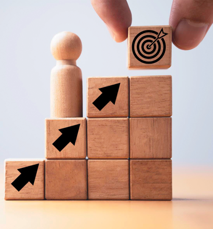 Long-Term Career Strategy